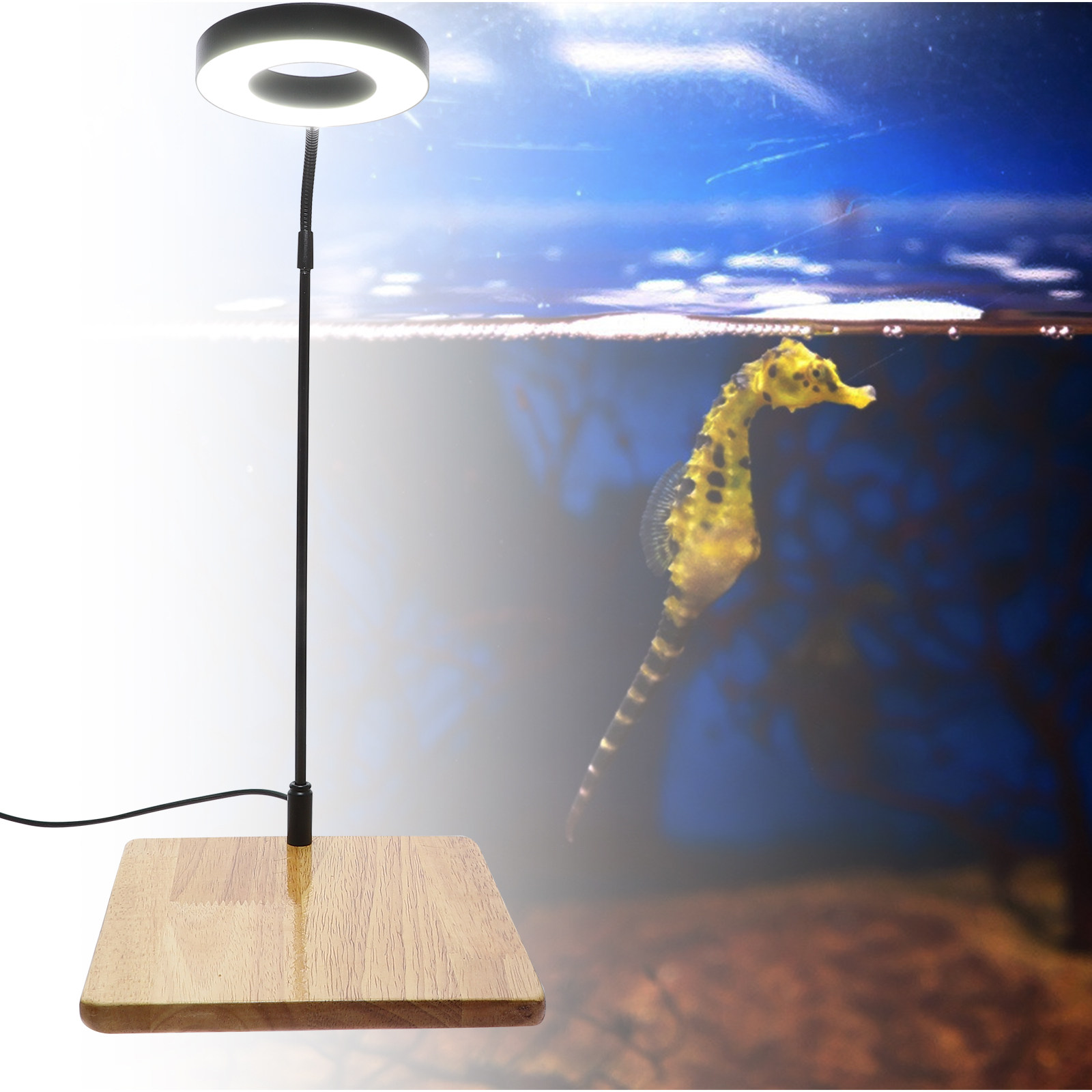 Aquarium Fish Light - ไฟเติมในตู้ปลา 1 ชิ้น ความสว่างสูง ไฟ LED