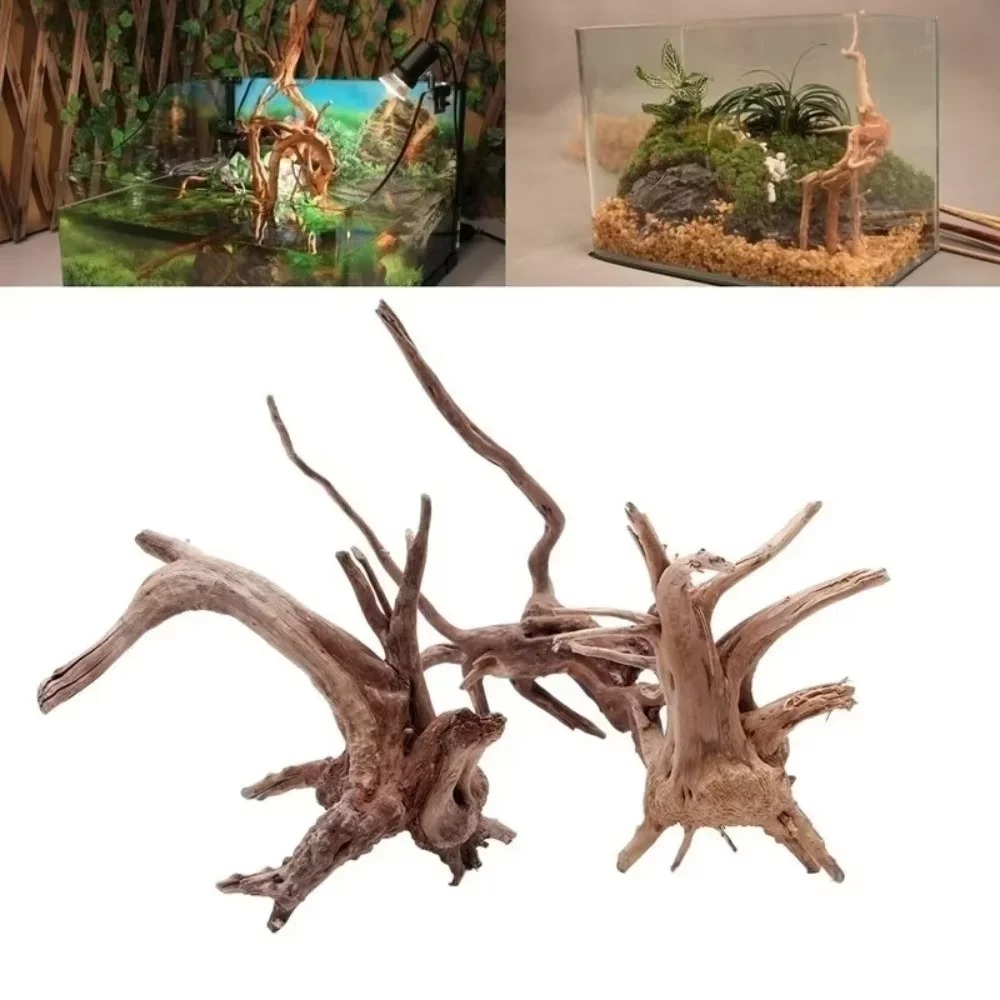 Aquarium Fish Guppy - ไม้ลอยน้ำธรรมชาติขนาด 15-20 ซม. สำหรับตกแต่งตู้ปลา - ของตกแต่งตู้ปลาคุณภาพพรีเมียม