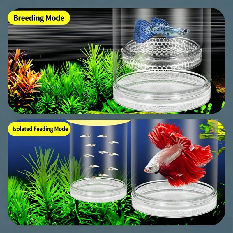 Aquarium Fish Cave - กล่องเพาะพันธุ์ปลาแบบโปร่งใสลอยน้ำ, กล่องแยกปลาอเนกประสงค์สำหรับกัปปี้ ซีบร้า เบต้า ฟราย อุปกรณ์แยกปลา