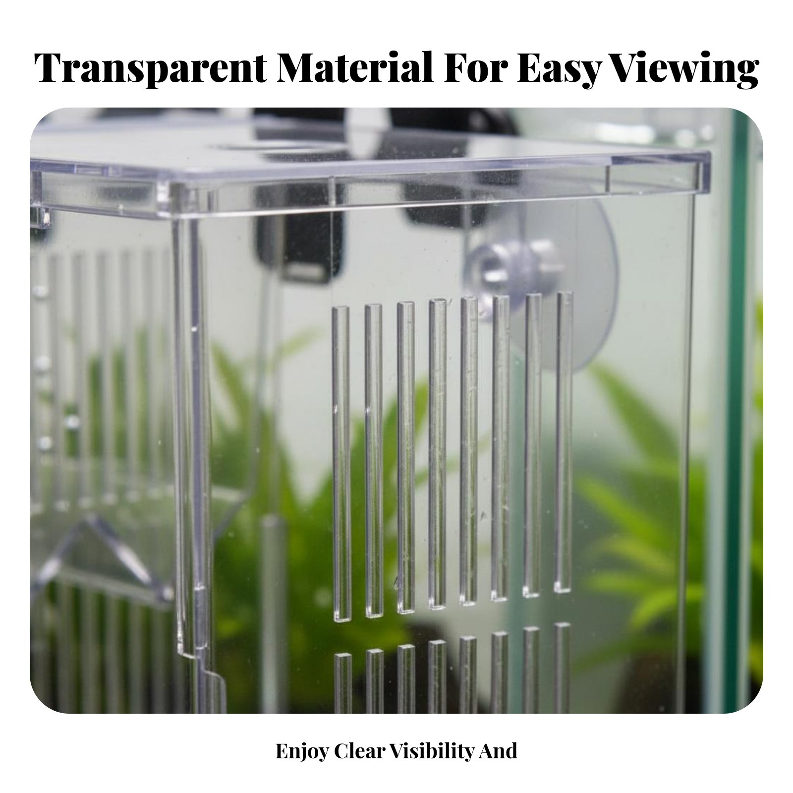 กล่องเพาะพันธุ์ปลาในน้ำ กล่องแ - Aquarium Fish Guppy บทวิจารณ์และราคา