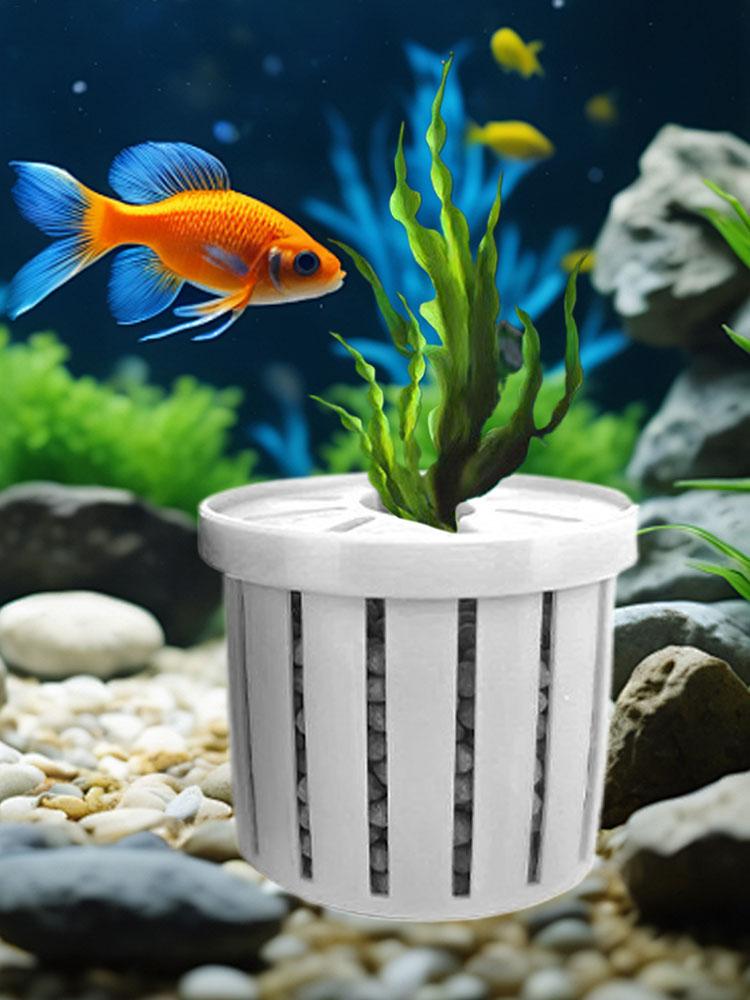 กระถางปลูกต้นไม้ในตู้ปลาแบบมีฐ - Aquarium Fish Restaurant บทวิจารณ์และราคา