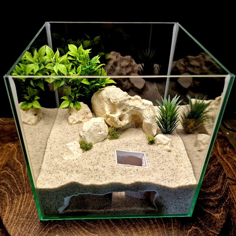 ของตกแต่งตู้ปลาแบบ 3 มิติ รูปท - Aquarium Fish Hide บทวิจารณ์และราคา