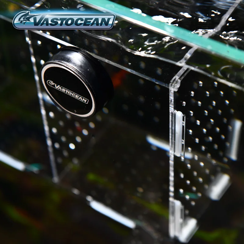 VASTOCEAN ปลาแม่เหล็กรวมอะคริล - Aquarium Fish Cave บทวิจารณ์และราคา
