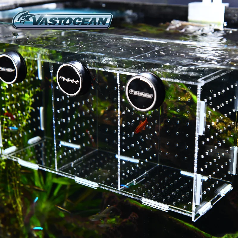 VASTOCEAN ปลาแม่เหล็กรวมอะคริล - Aquarium Fish Cave บทวิจารณ์และราคา