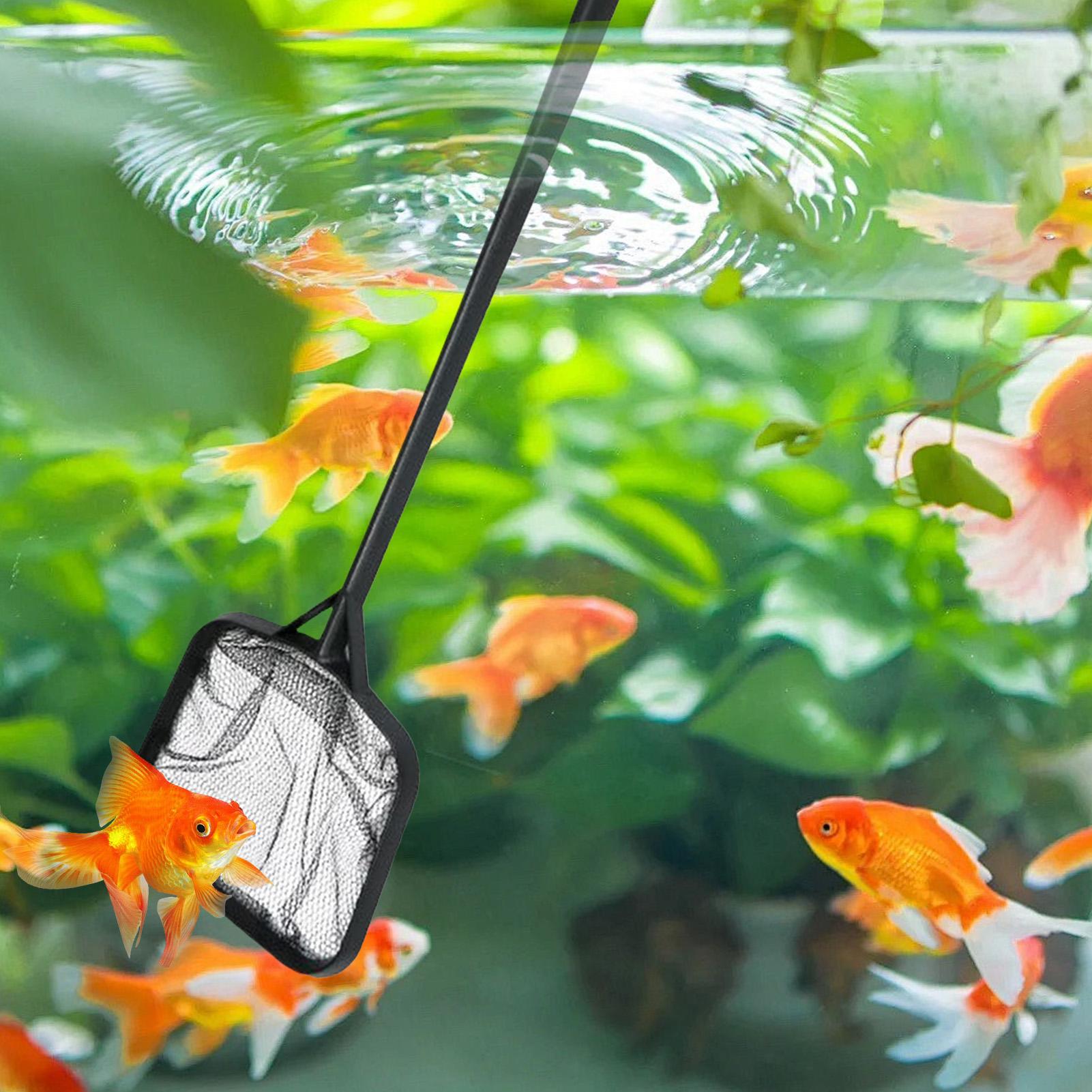 ตาข่ายทำความสะอาดสระว่ายน้ำแบบ - Aquarium Fish Maintenance บทวิจารณ์และราคา