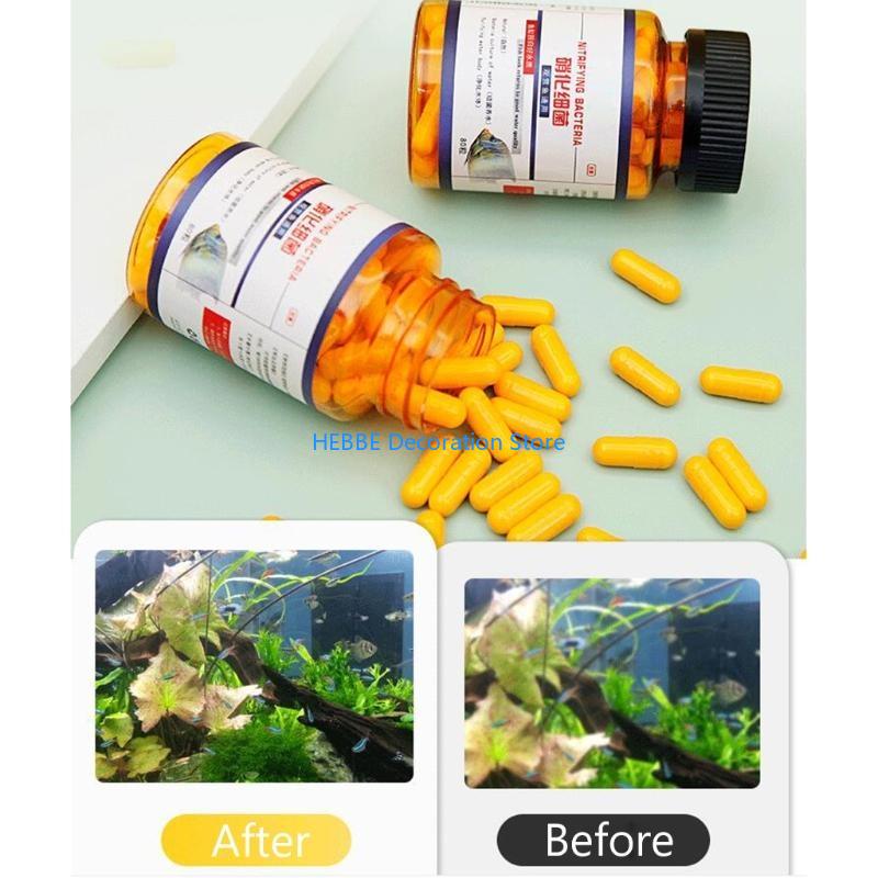 B0KC 30/80 PCS แคปซูลแบคทีเรีย - Aquarium Fish Medicine บทวิจารณ์และราคา