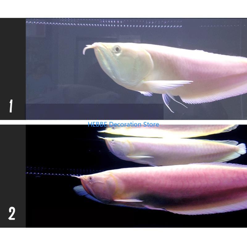 B0KC 30/80 PCS แคปซูลแบคทีเรีย - Aquarium Fish Medicine บทวิจารณ์และราคา