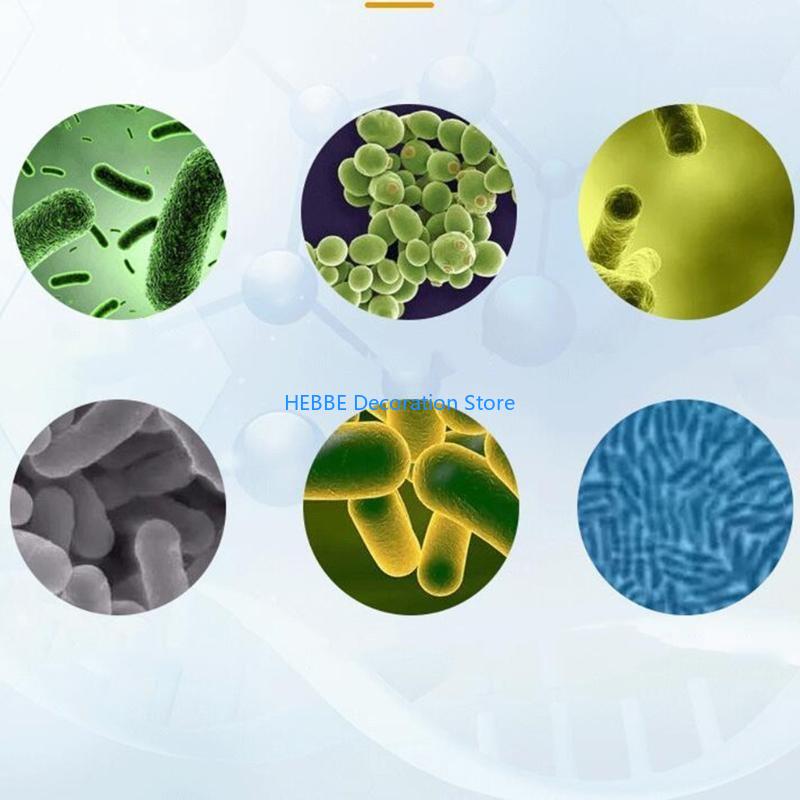 B0KC 30/80 PCS แคปซูลแบคทีเรีย - Aquarium Fish Medicine บทวิจารณ์และราคา