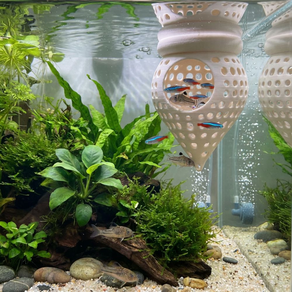 ที่นอนปลาแบบลอยน้ำพิมพ์ 3 มิติ - Aquarium Fish Cave บทวิจารณ์และราคา