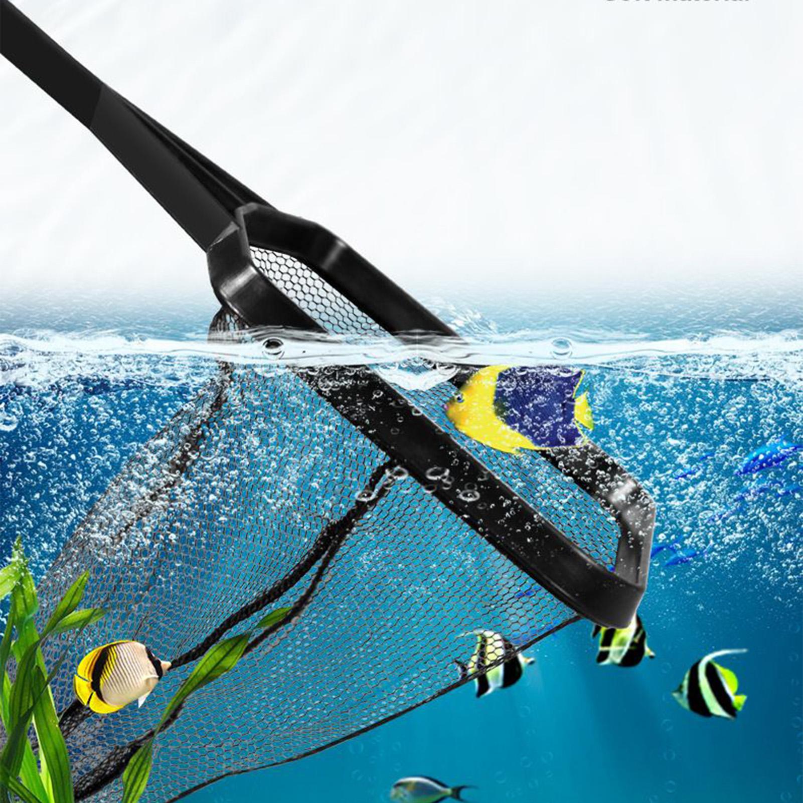 ตาข่ายสระน้ำ ถังปลา ตาข่ายกู้ภ - Aquarium Fish Maintenance บทวิจารณ์และราคา