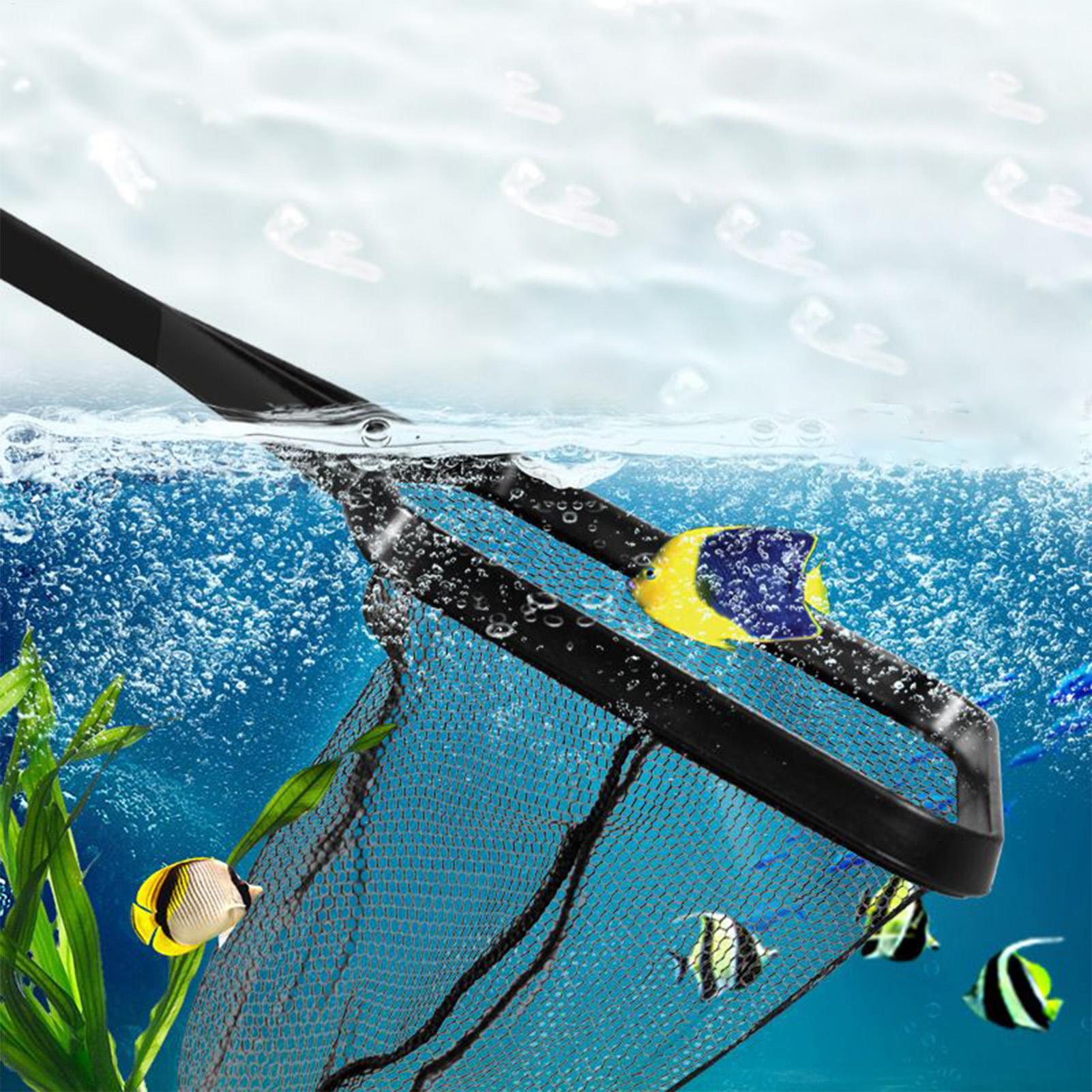 ตาข่ายสระน้ำ ถังปลา ตาข่ายกู้ภ - Aquarium Fish Maintenance บทวิจารณ์และราคา