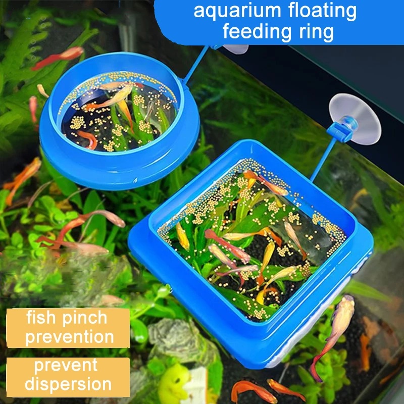 วงแหวนให้อาหารปลาแบบลอยน้ำ พร้ - Aquarium Fish Medicine บทวิจารณ์และราคา