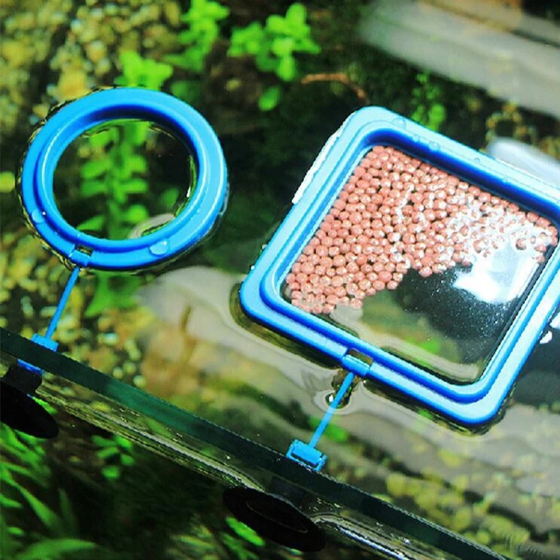 วงแหวนให้อาหารปลาแบบลอยน้ำ พร้ - Aquarium Fish Medicine บทวิจารณ์และราคา
