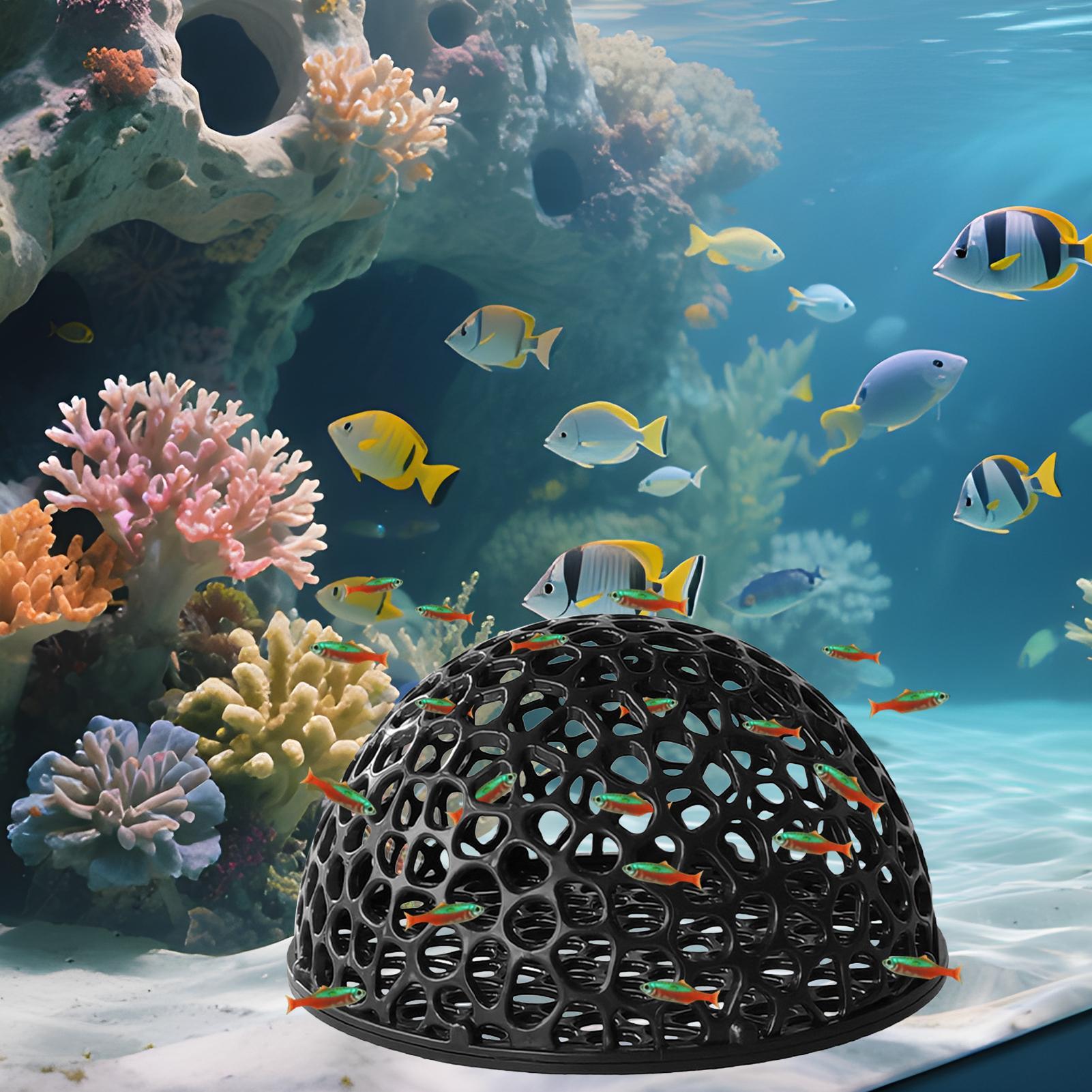 ที่ซ่อนตัวในตู้ปลาสำหรับปลาขนา - Aquarium Fish Hide บทวิจารณ์และราคา