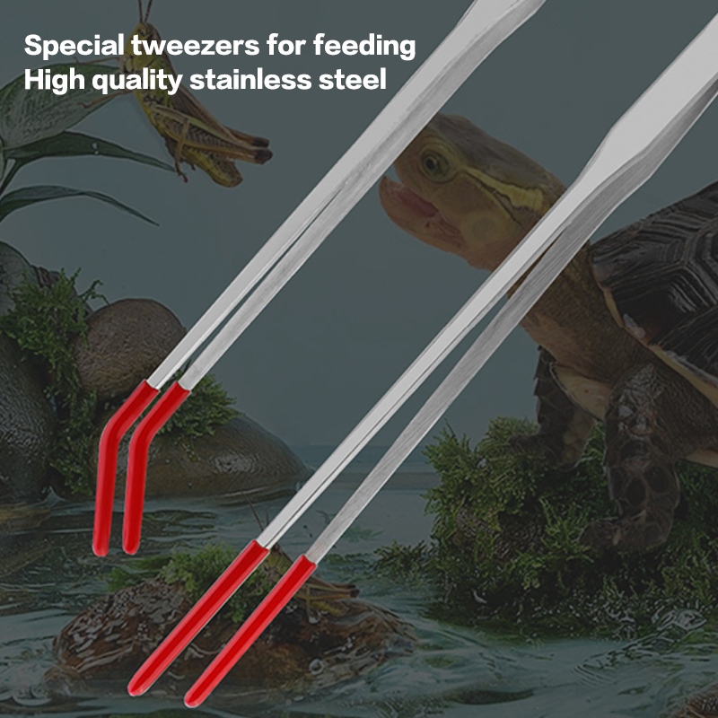 เครื่องมือบำรุงรักษาตู้ปลาสแตน - Aquarium Fish Maintenance บทวิจารณ์และราคา