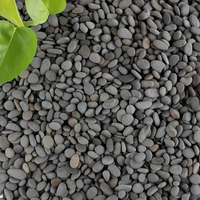 20 ชิ้นธรรมชาติ River Rocks Sm - Aquarium Fish Guppy บทวิจารณ์และราคา