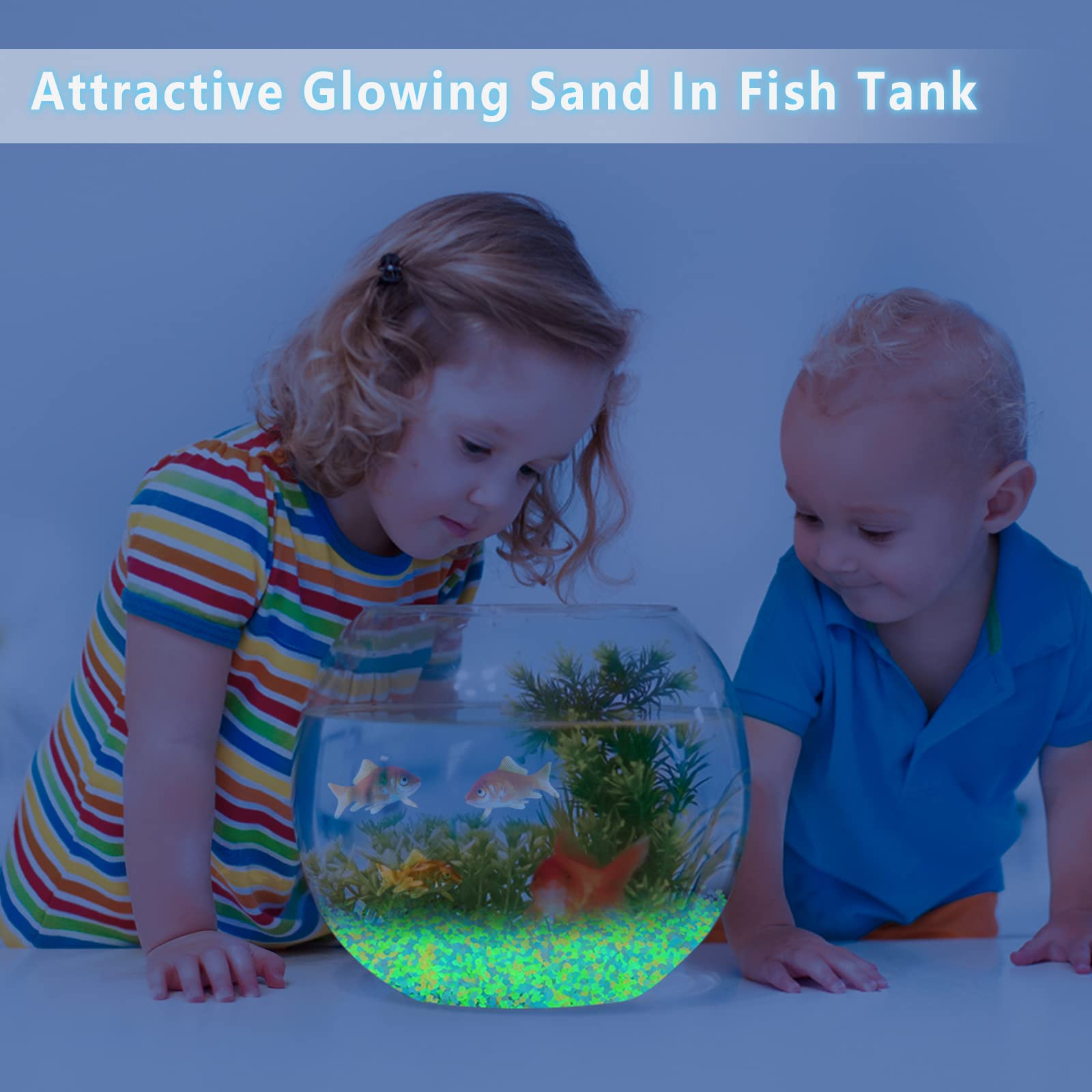 ทรายเรืองแสง 1000 ชิ้น หินเรือ - Aquarium Fish Guppy บทวิจารณ์และราคา
