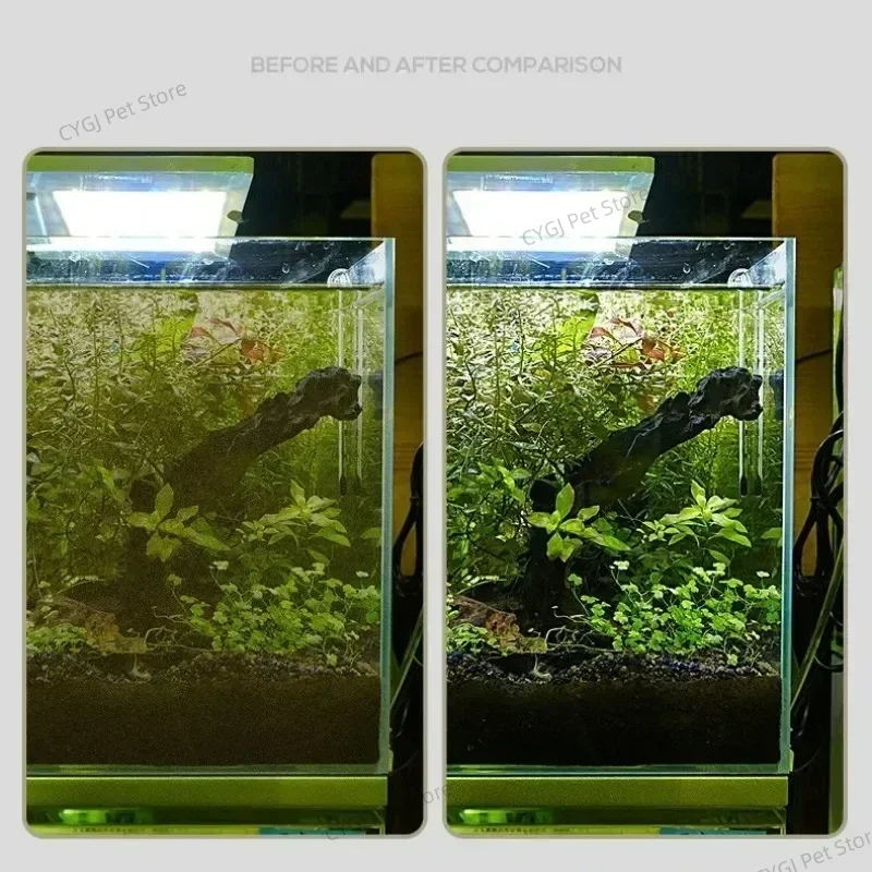 เครื่องมือทําความสะอาดถังปลาแบ - Aquarium Fish Maintenance บทวิจารณ์และราคา