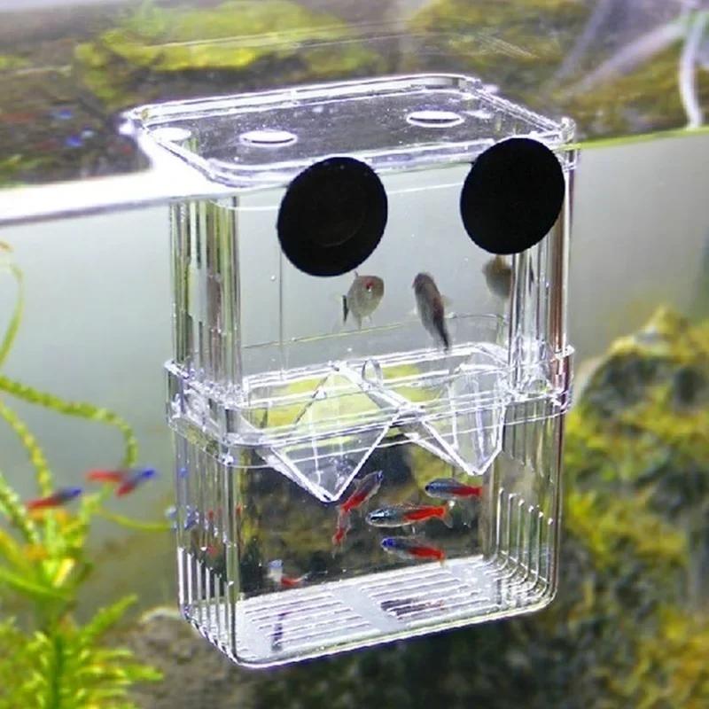 โปร่งใส Fish Aquarium High CLE - Aquarium Fish Cave บทวิจารณ์และราคา