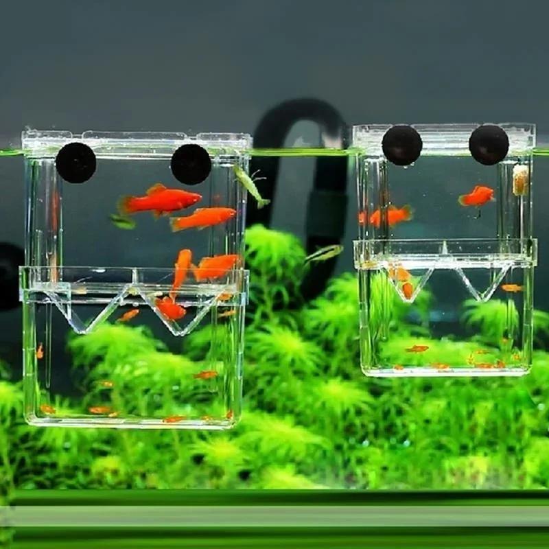 โปร่งใส Fish Aquarium High CLE - Aquarium Fish Cave บทวิจารณ์และราคา
