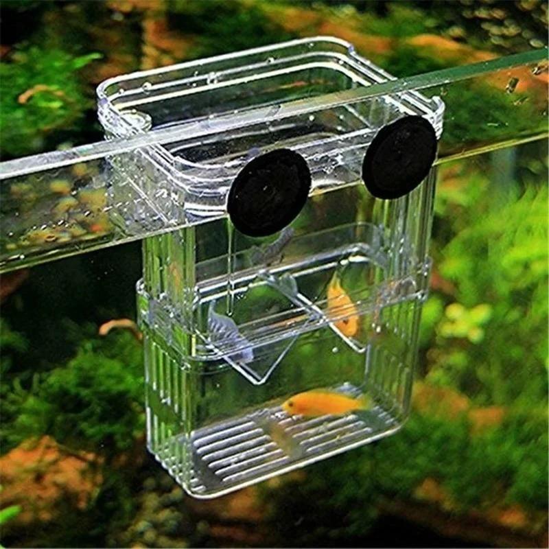 โปร่งใส Fish Aquarium High CLE - Aquarium Fish Cave บทวิจารณ์และราคา