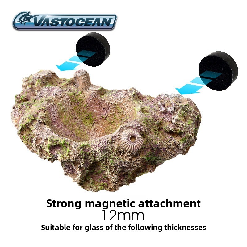 VASTOCEAN แม่เหล็กผู้ถือ Anemo - Aquarium Fish Cave บทวิจารณ์และราคา