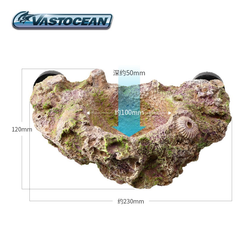 VASTOCEAN แม่เหล็กผู้ถือ Anemo - Aquarium Fish Cave บทวิจารณ์และราคา