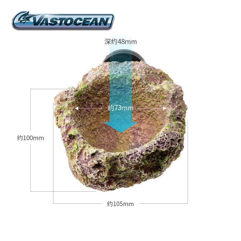 VASTOCEAN แม่เหล็กผู้ถือ Anemo - Aquarium Fish Cave บทวิจารณ์และราคา