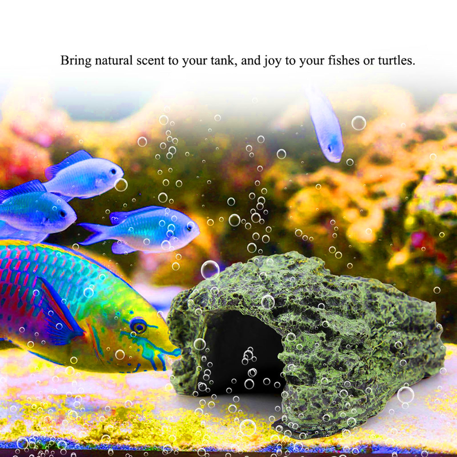 ถ้ำซ่อนตัวสำหรับสัตว์เลื้อยคลา - Aquarium Fish Cave บทวิจารณ์และราคา