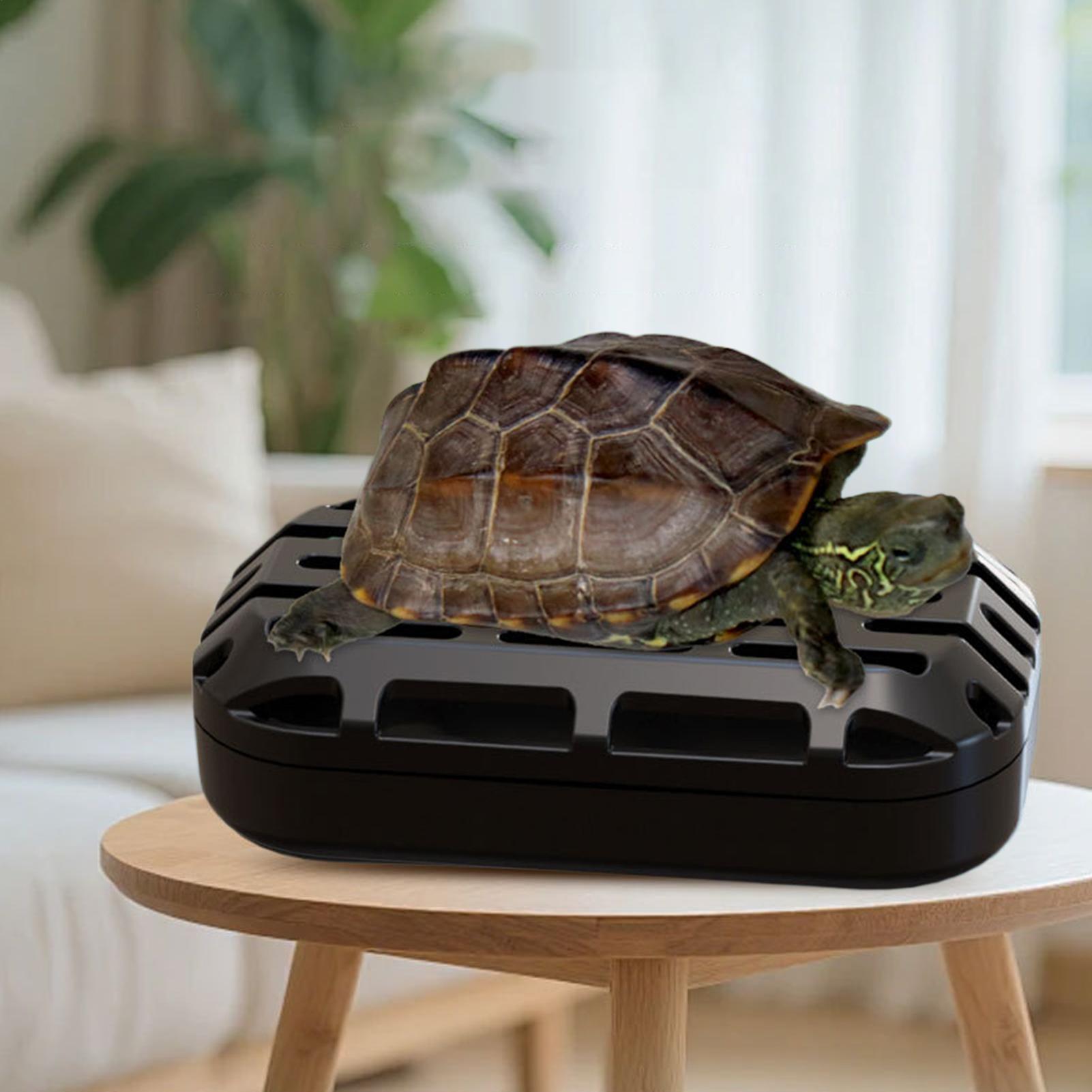 ที่ดูดอุจจาระเต่า อุปกรณ์สัตว์ - Aquarium Fish Restaurant บทวิจารณ์และราคา