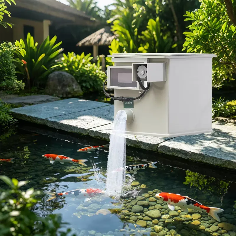 โรงงาน QihangRAS ราคาโรงงาน คุ - Aquarium Fish High Price บทวิจารณ์และราคา