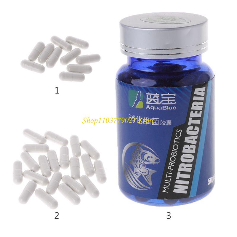 แคปซูลแบคทีเรียไนตริฟายอิ้งสำห - Aquarium Fish Medicine บทวิจารณ์และราคา