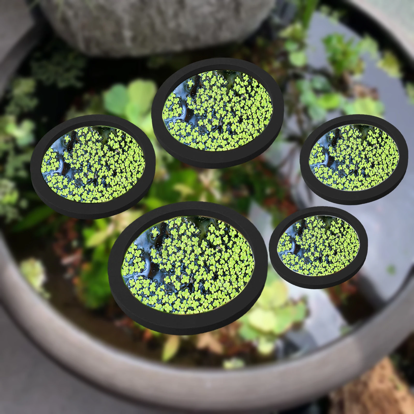 5 ชิ้น EVA ปลา Feeding แหวน Aq - Aquarium Fish Accessories บทวิจารณ์และราคา