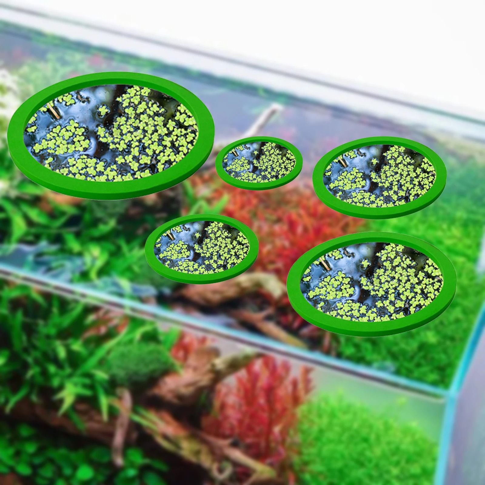 5 ชิ้น EVA ปลา Feeding แหวน Aq - Aquarium Fish Accessories บทวิจารณ์และราคา