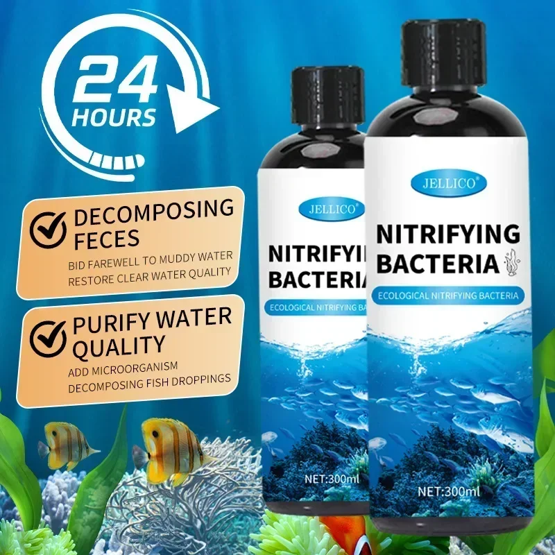 300ml Nitrifying แบคทีเรีย Liq - Aquarium Fish Medicine บทวิจารณ์และราคา