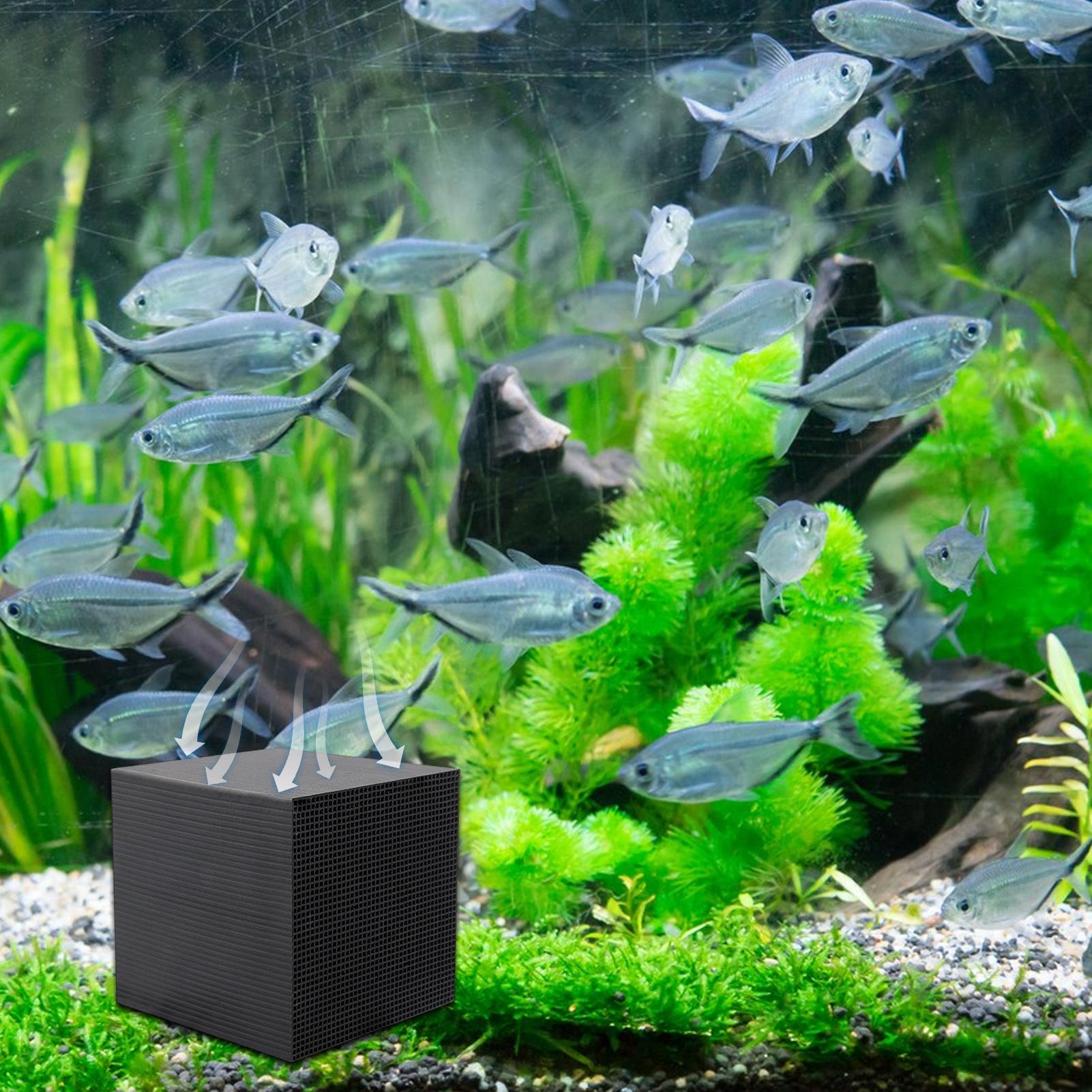 เครื่องกรองน้ําในตู้ปลา Cube W - Aquarium Fish Cave บทวิจารณ์และราคา