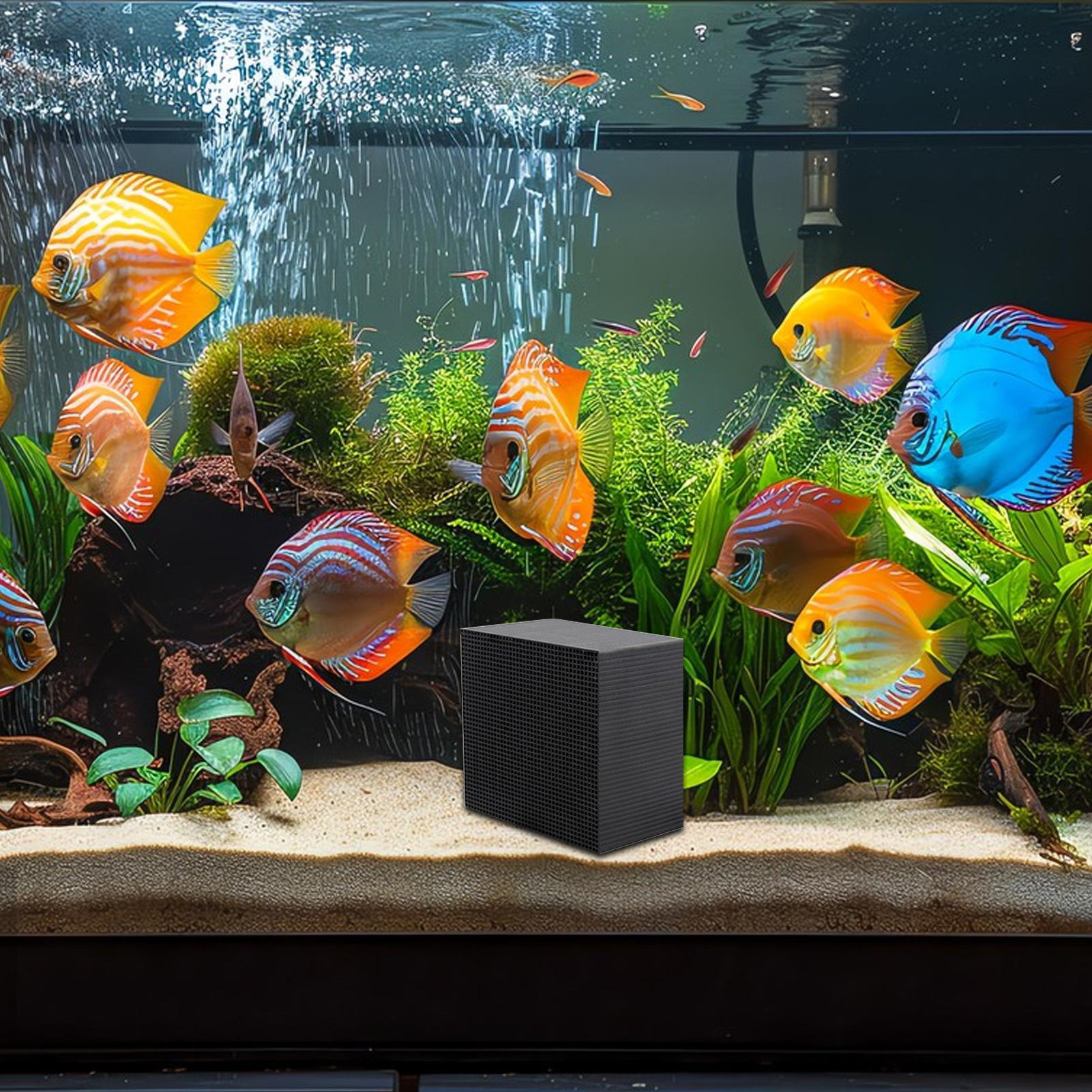 เครื่องกรองน้ําในตู้ปลา Cube W - Aquarium Fish Cave บทวิจารณ์และราคา