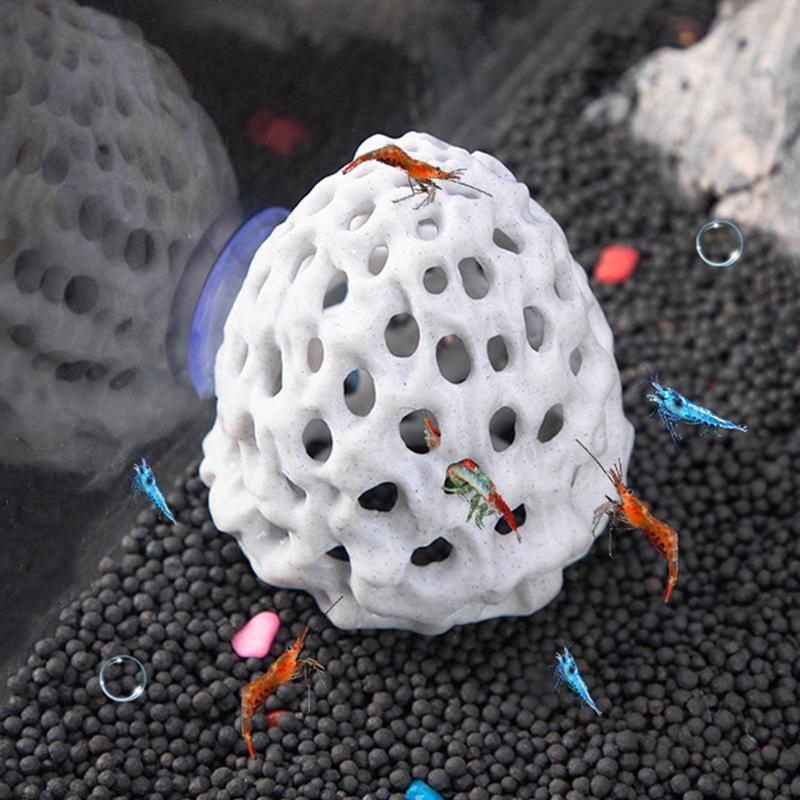 พิพิธภัณฑ์สัตว์น้ําถ้ํากุ้งขนา - Aquarium Fish Cave บทวิจารณ์และราคา