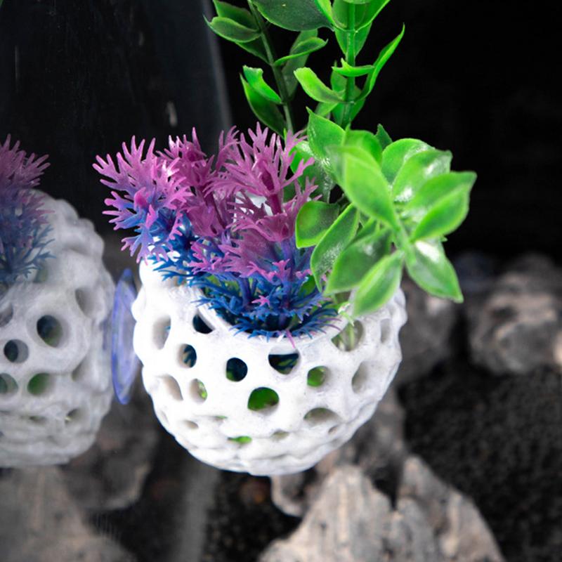 พิพิธภัณฑ์สัตว์น้ําถ้ํากุ้งขนา - Aquarium Fish Cave บทวิจารณ์และราคา