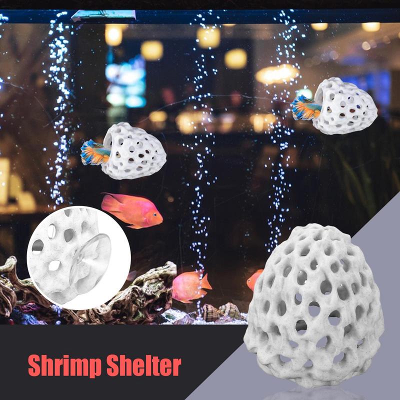พิพิธภัณฑ์สัตว์น้ําถ้ํากุ้งขนา - Aquarium Fish Cave บทวิจารณ์และราคา