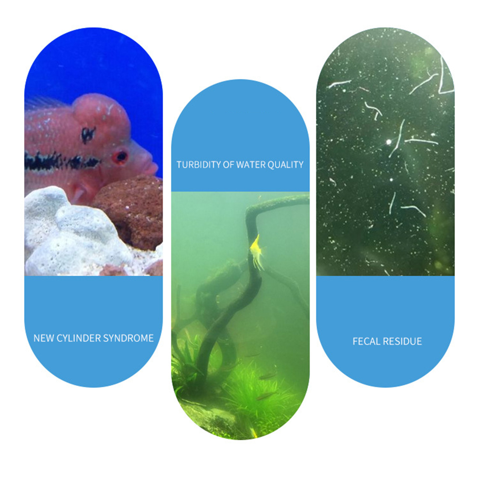 ผงไบโอฟิลเตอร์สำหรับตู้ปลา นิต - Aquarium Fish Medicine บทวิจารณ์และราคา