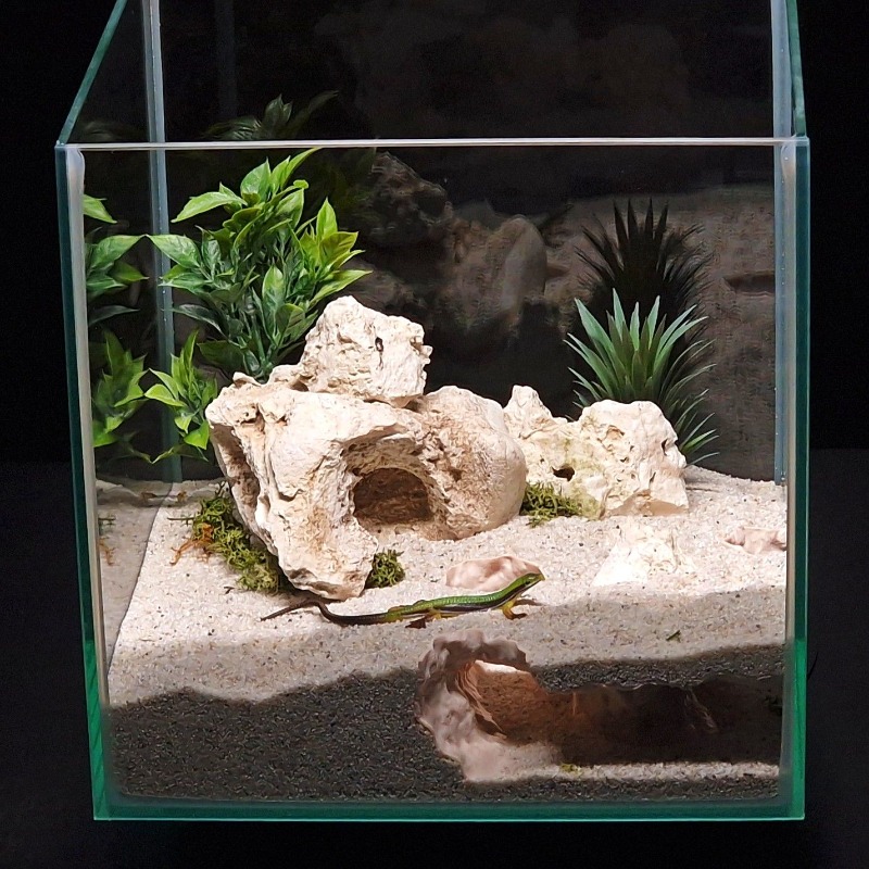 อุโมงค์ตกปลาพิมพ์ 3 มิติ สำหรั - Aquarium Fish Hide บทวิจารณ์และราคา