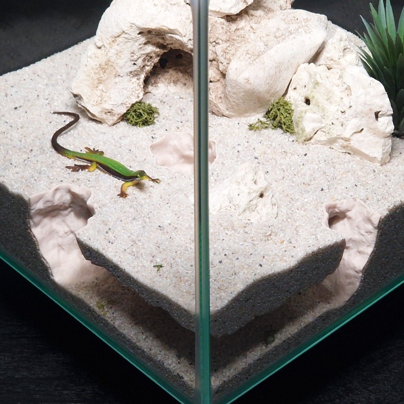 อุโมงค์ตกปลาพิมพ์ 3 มิติ สำหรั - Aquarium Fish Hide บทวิจารณ์และราคา