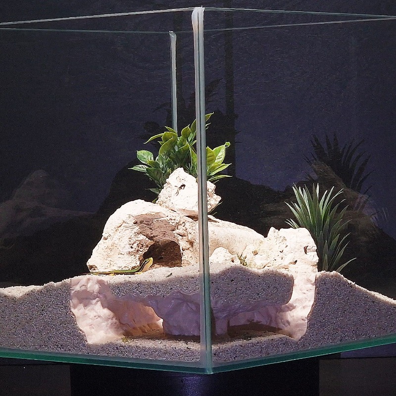 อุโมงค์ตกปลาพิมพ์ 3 มิติ สำหรั - Aquarium Fish Hide บทวิจารณ์และราคา