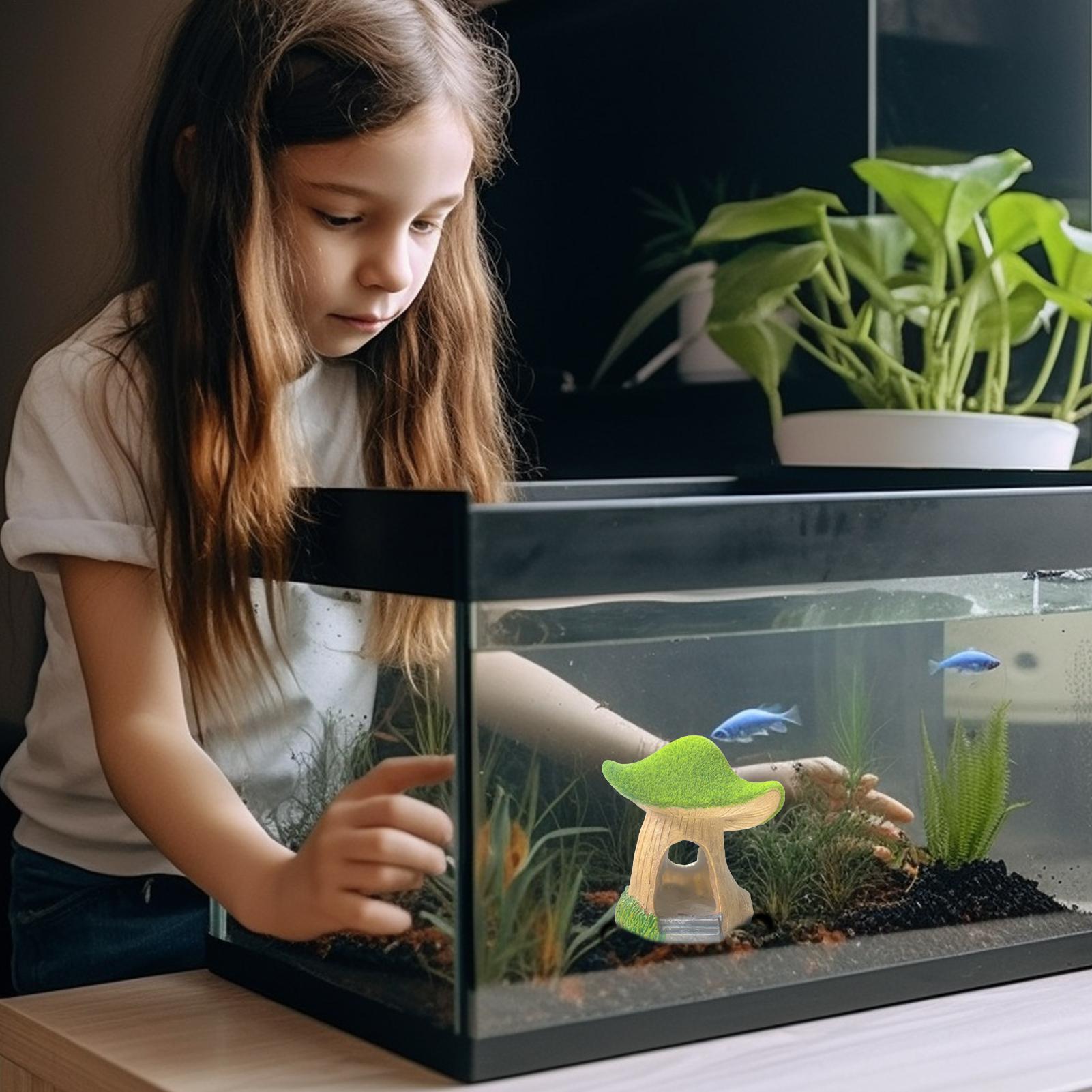 รูปปั้นตกแต่งตู้ปลา รูปเห็ด สำ - Aquarium Fish Restaurant บทวิจารณ์และราคา