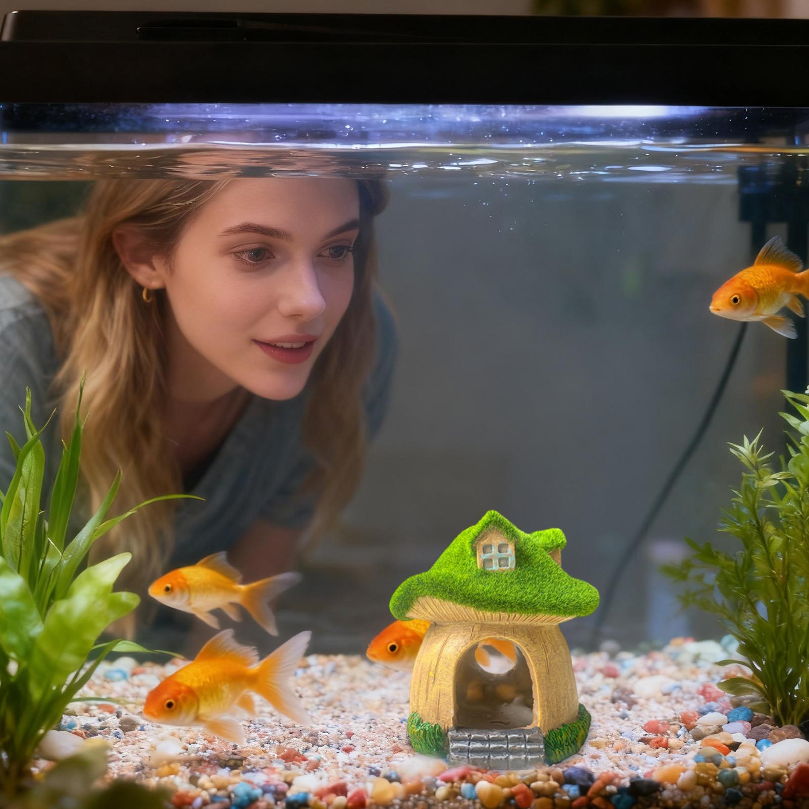 รูปปั้นตกแต่งตู้ปลา รูปเห็ด สำ - Aquarium Fish Restaurant บทวิจารณ์และราคา