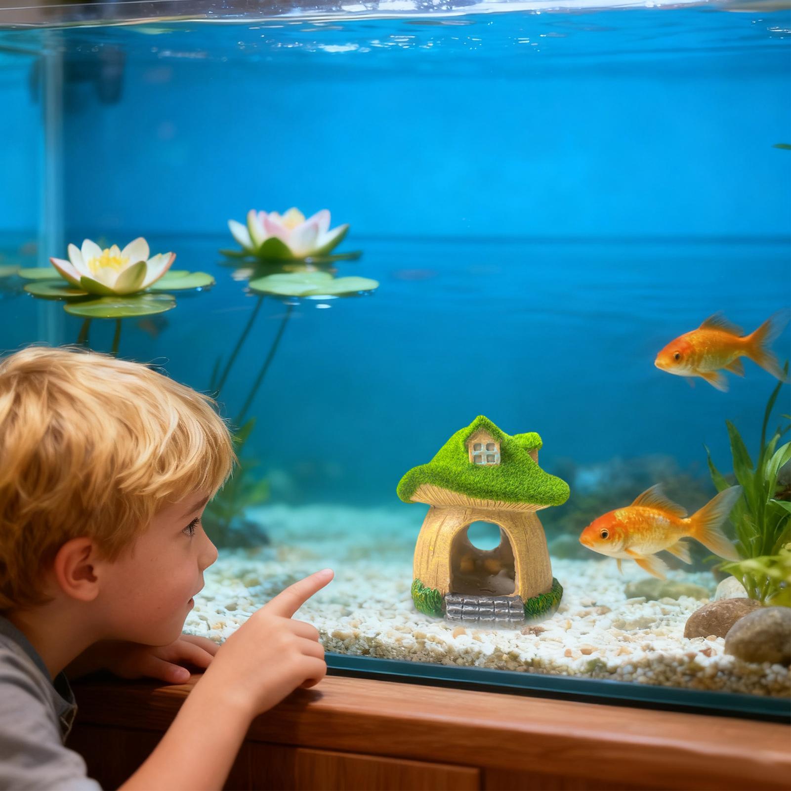 รูปปั้นตกแต่งตู้ปลา รูปเห็ด สำ - Aquarium Fish Restaurant บทวิจารณ์และราคา