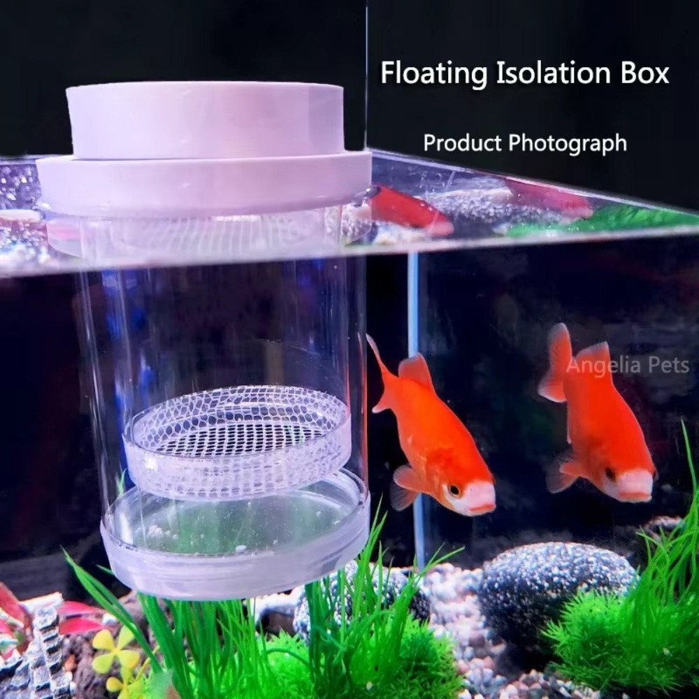 พลาสติกลอยปลา Breeding การแยกก - Aquarium Fish Cave บทวิจารณ์และราคา