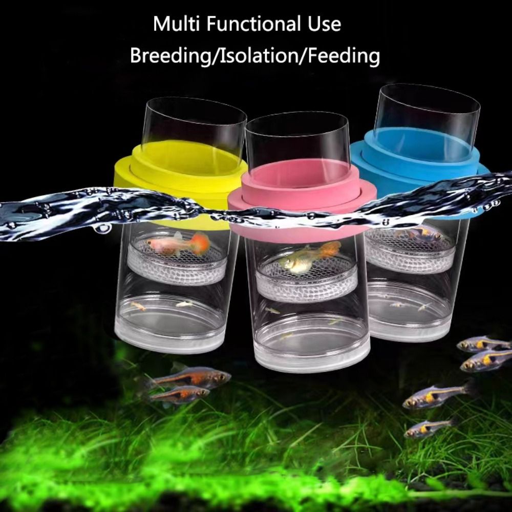 พลาสติกลอยปลา Breeding การแยกก - Aquarium Fish Cave บทวิจารณ์และราคา