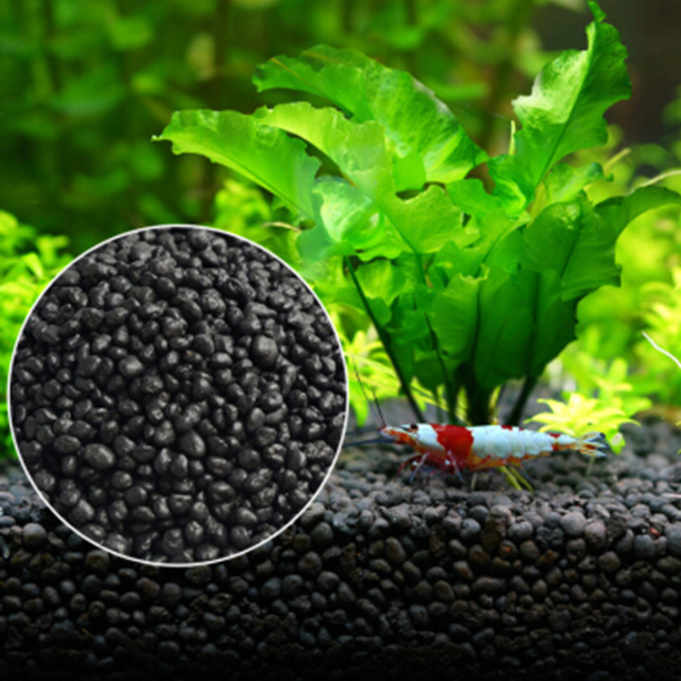 พิพิธภัณฑ์สัตว์น้ำเมล็ดพืชดิน  - Aquarium Fish Accessories บทวิจารณ์และราคา